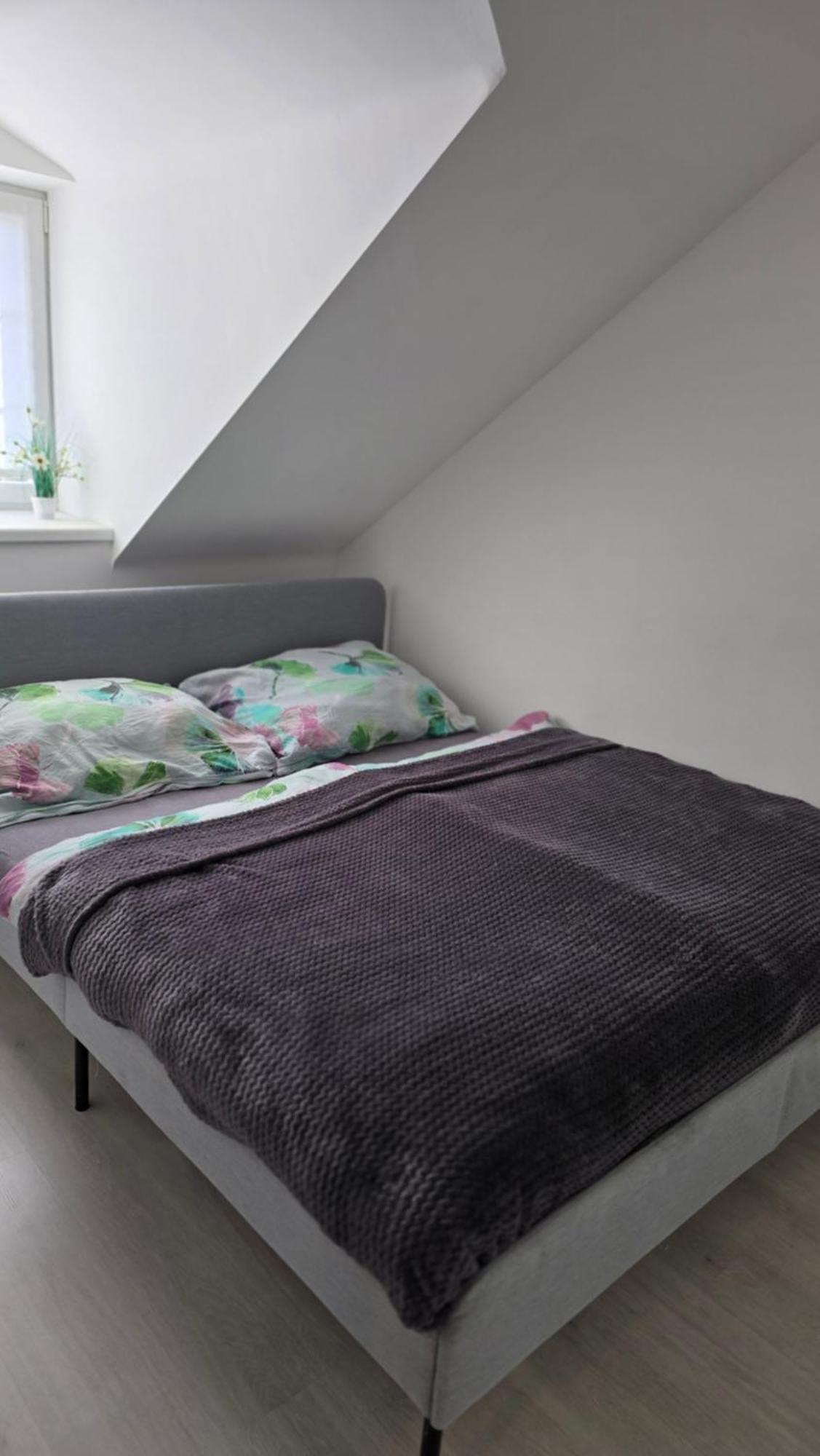 Apartman - Cafe Princ Pod Hradem Wifi, Klima Šternberk エクステリア 写真
